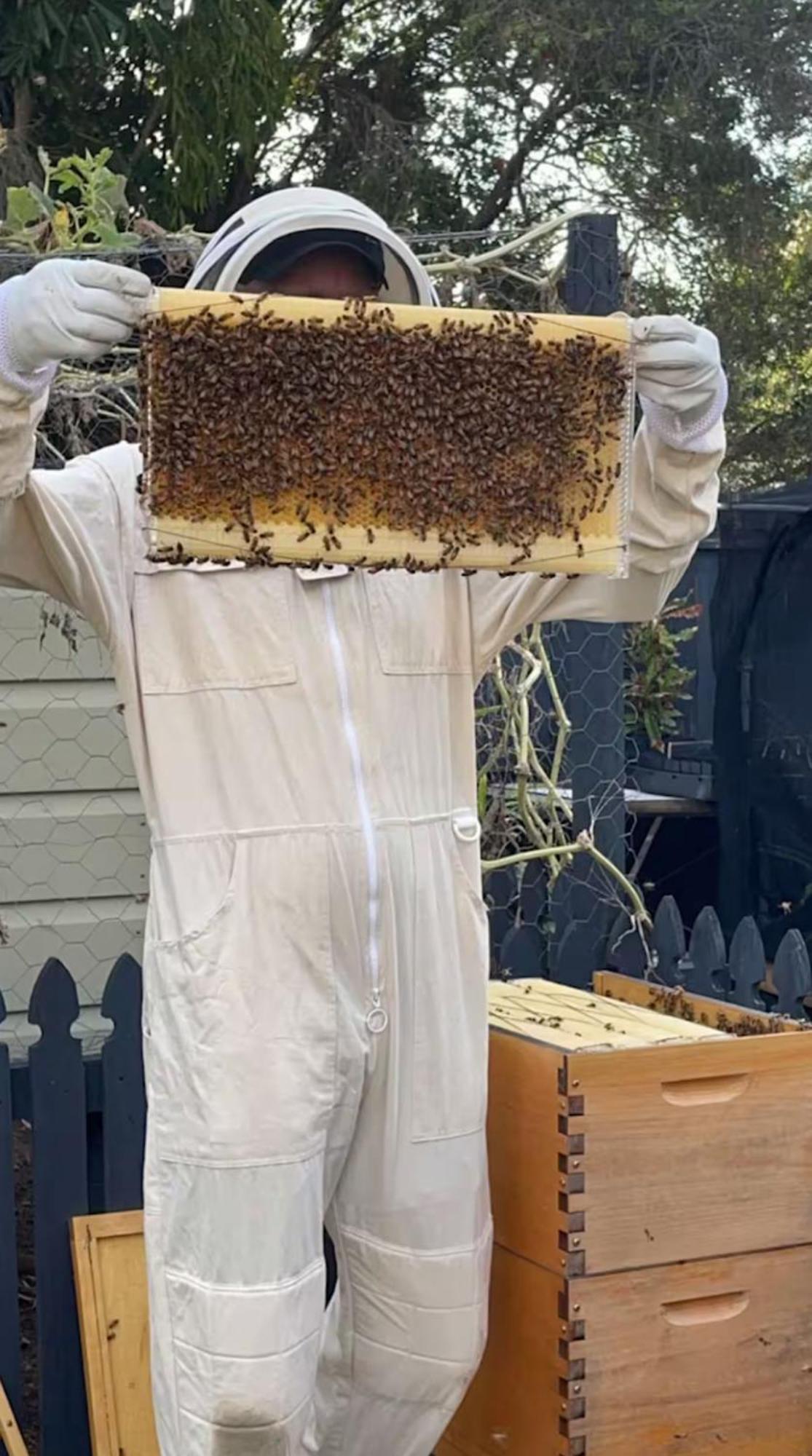فندق Bee House Dinmore المظهر الخارجي الصورة